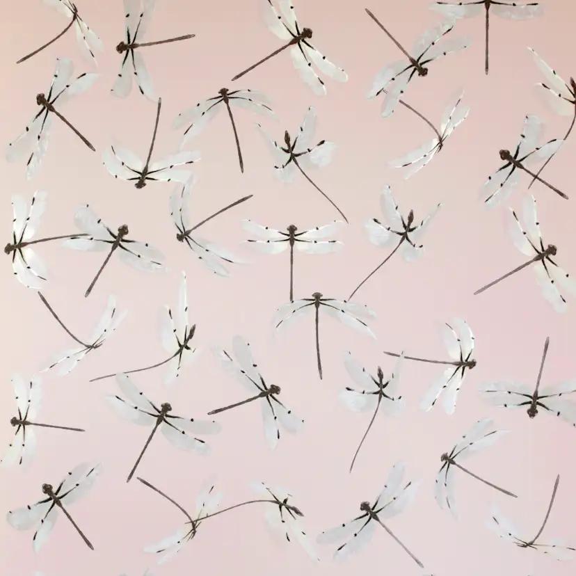 Tapet Mimou Dragonfly Pink