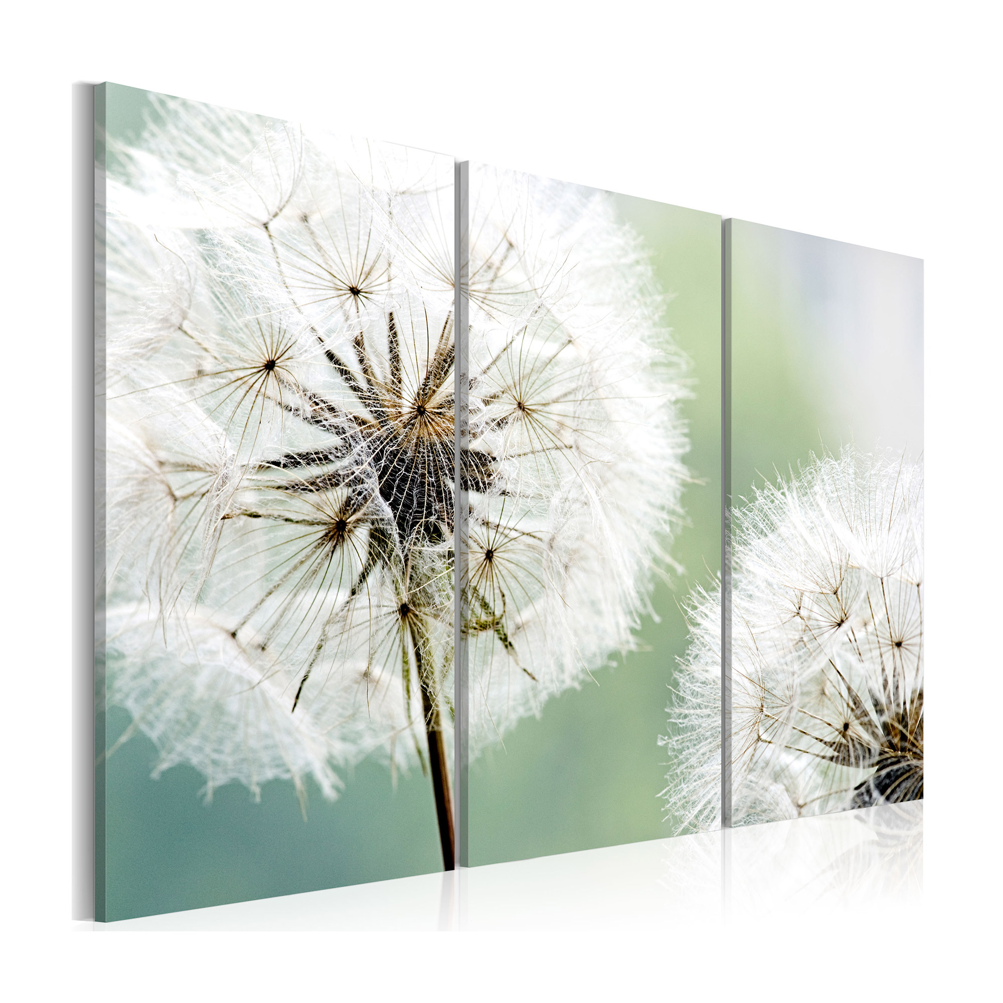 Tavla Arkiio Fluffy Dandelions