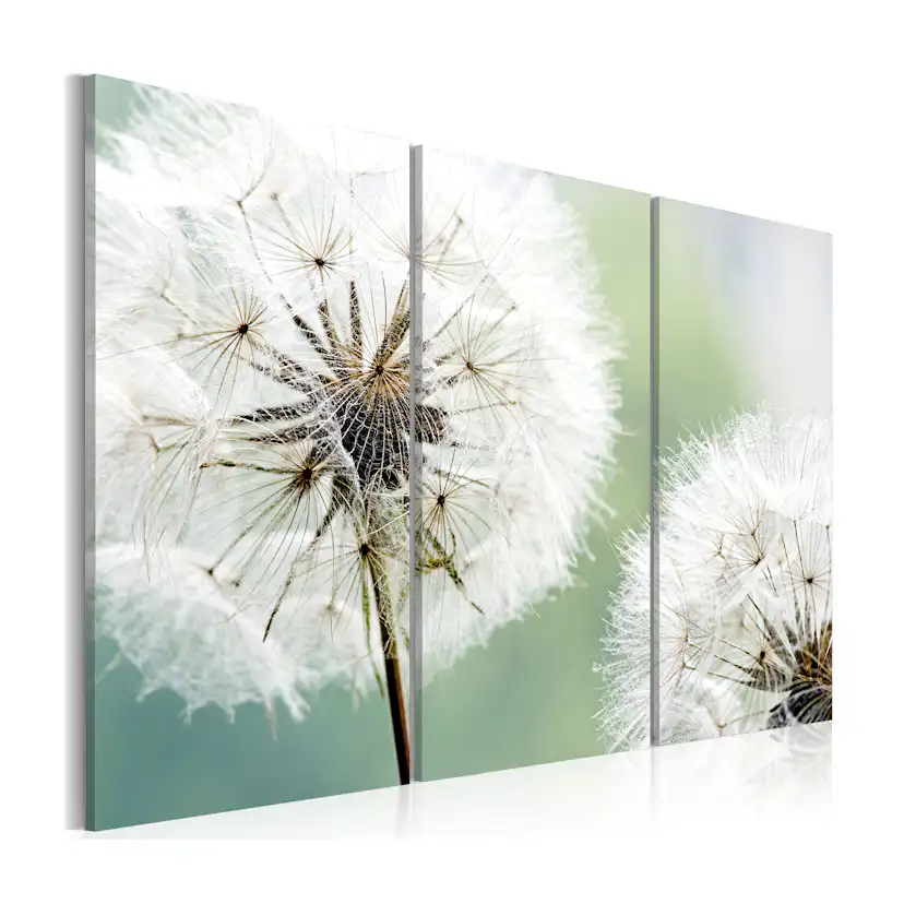 Tavla Arkiio Fluffy Dandelions