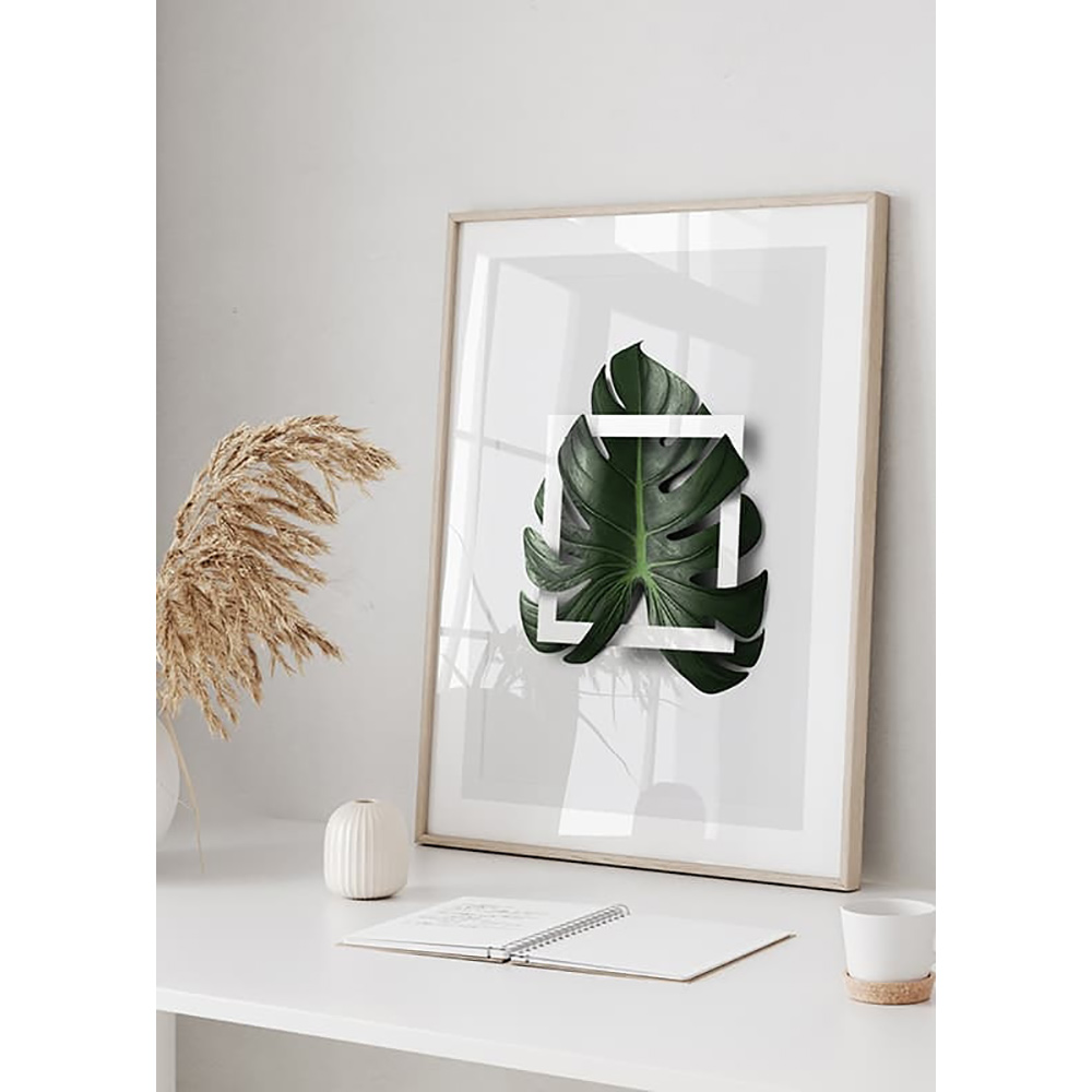 Poster Gallerix Monstera Boxed