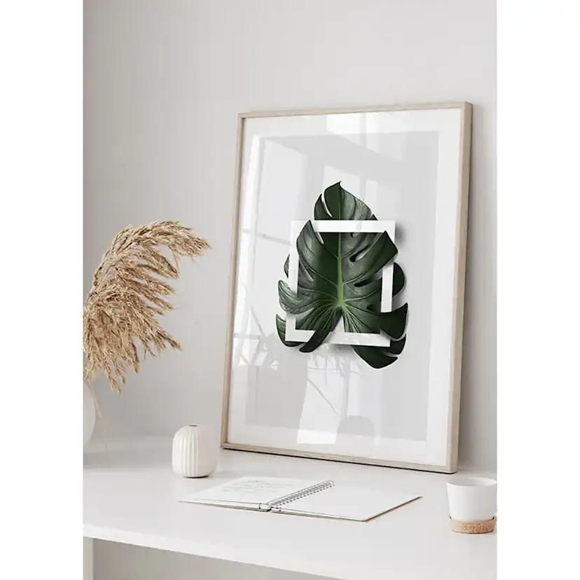 Poster Gallerix Monstera Boxed