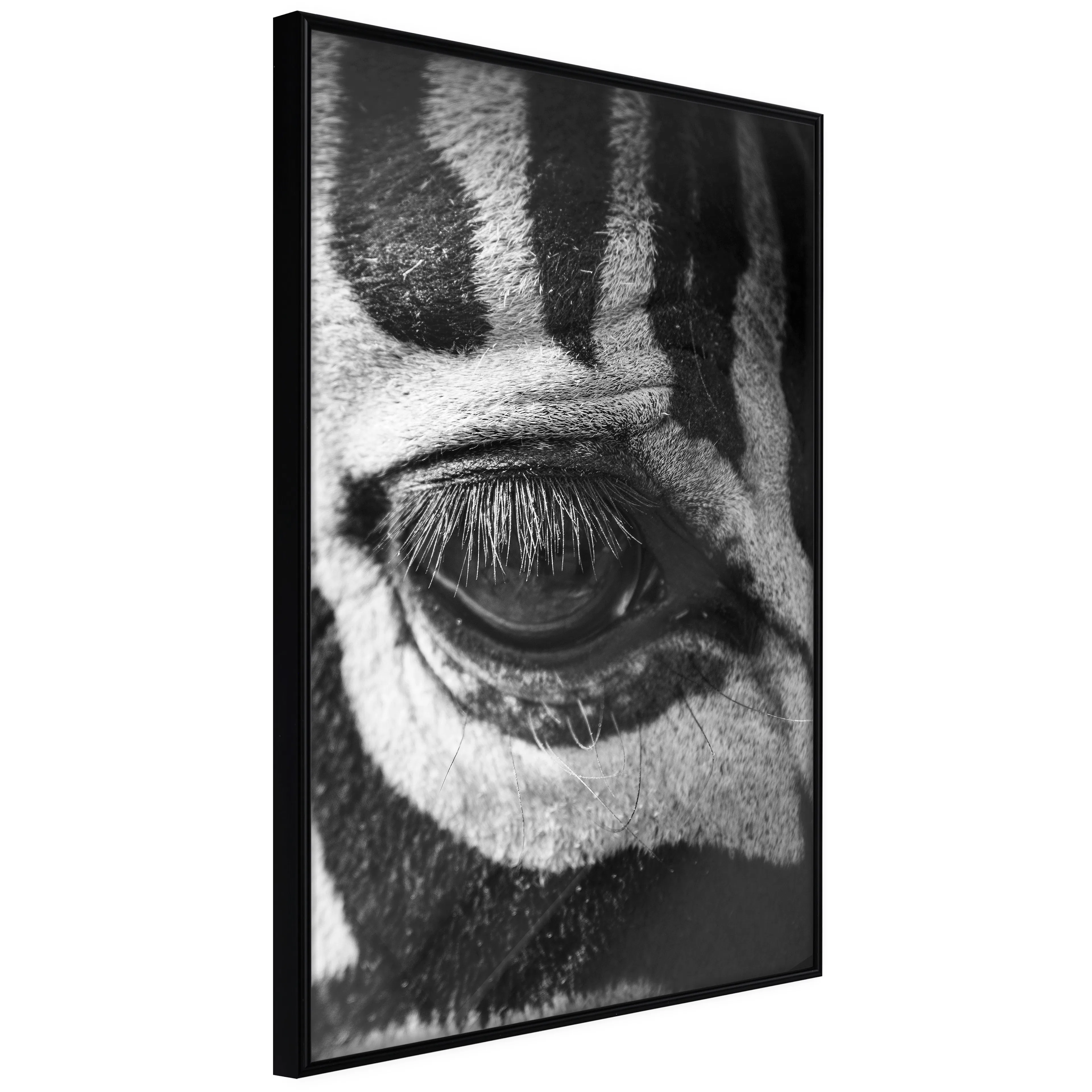 Affisch - Zebra Eye [Poster] 40x60 Svart ram, 40x60 cm