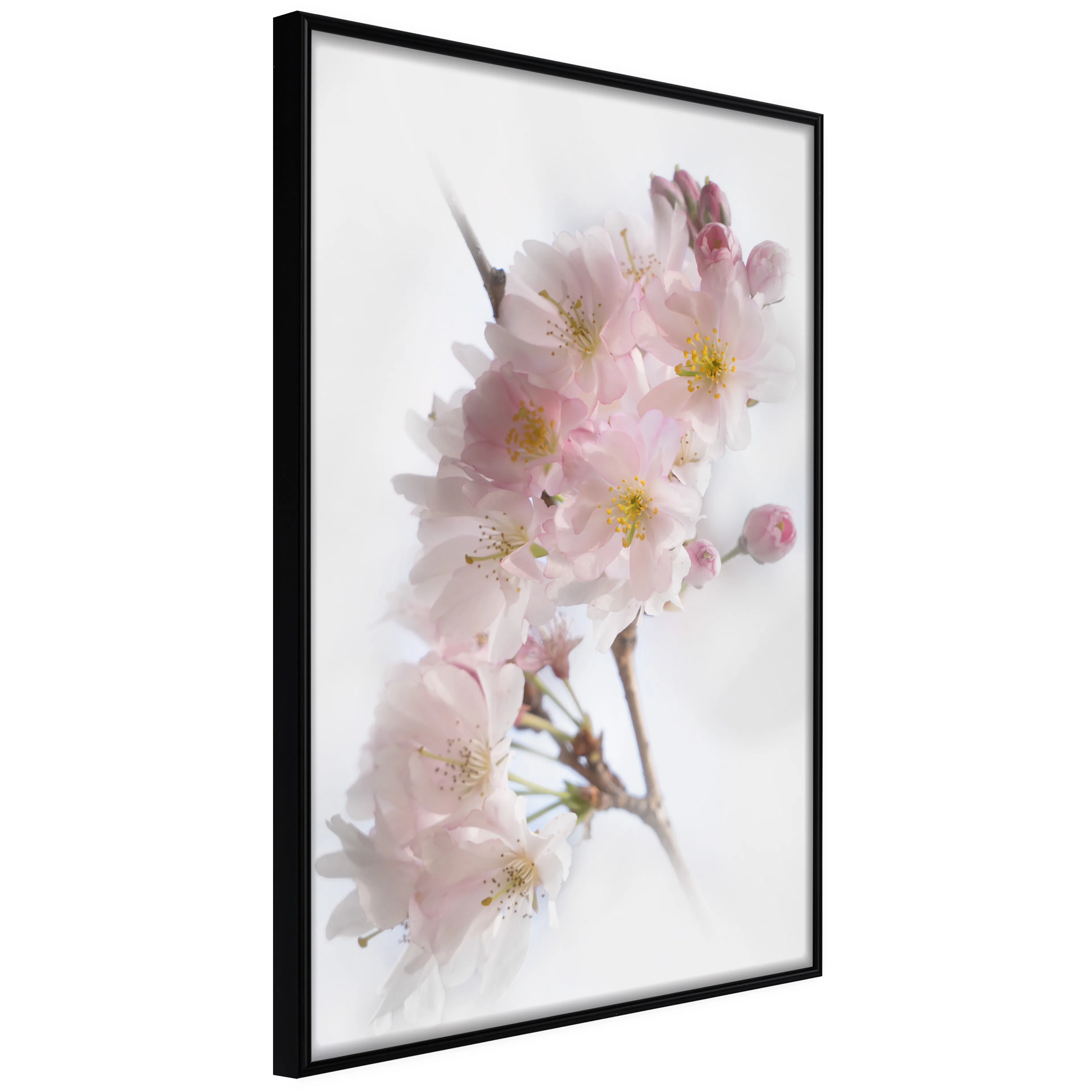 Affisch - Spring in Japan [Poster] 40x60 Svart ram, 40x60 cm