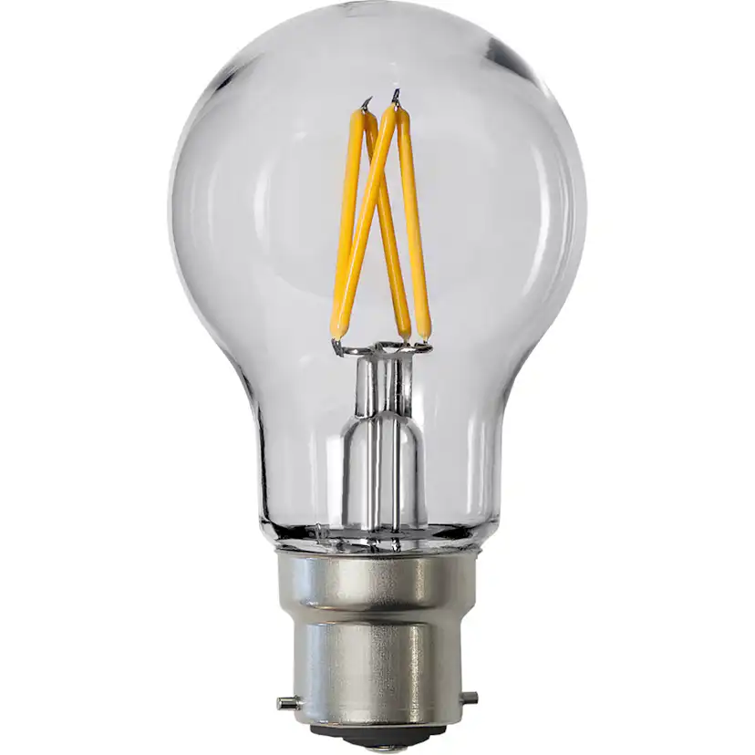 LEDlampaB22A55 Star Trading Outdoor Lighting PC Cover Filament
