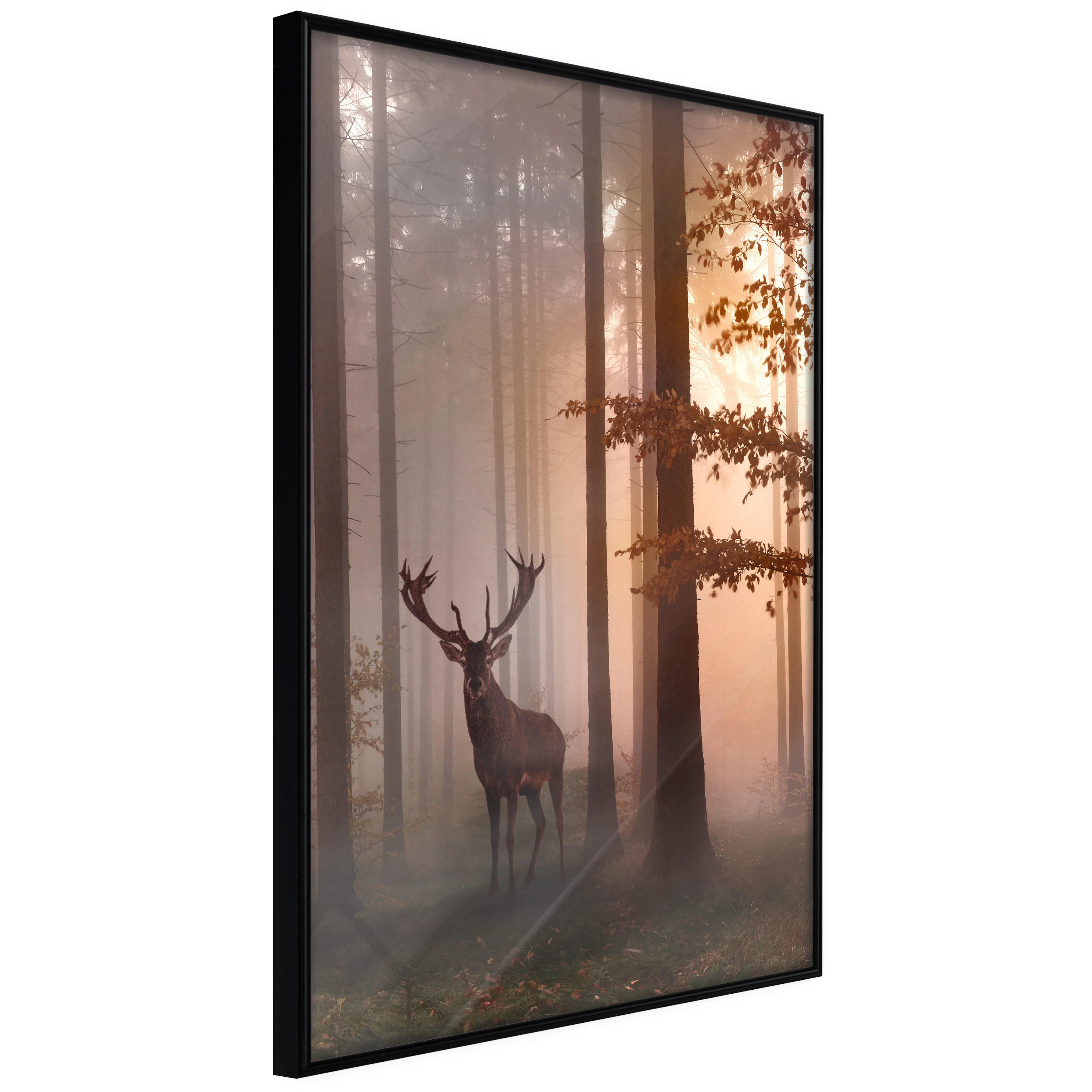 Affisch - Morning [Poster] 40x60 Svart ram, 40x60 cm