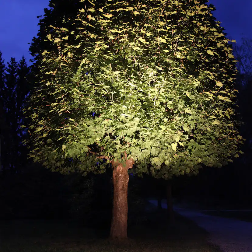 LED-lampa Star Trading E27 PAR38 Spotlight Outdoor Silver