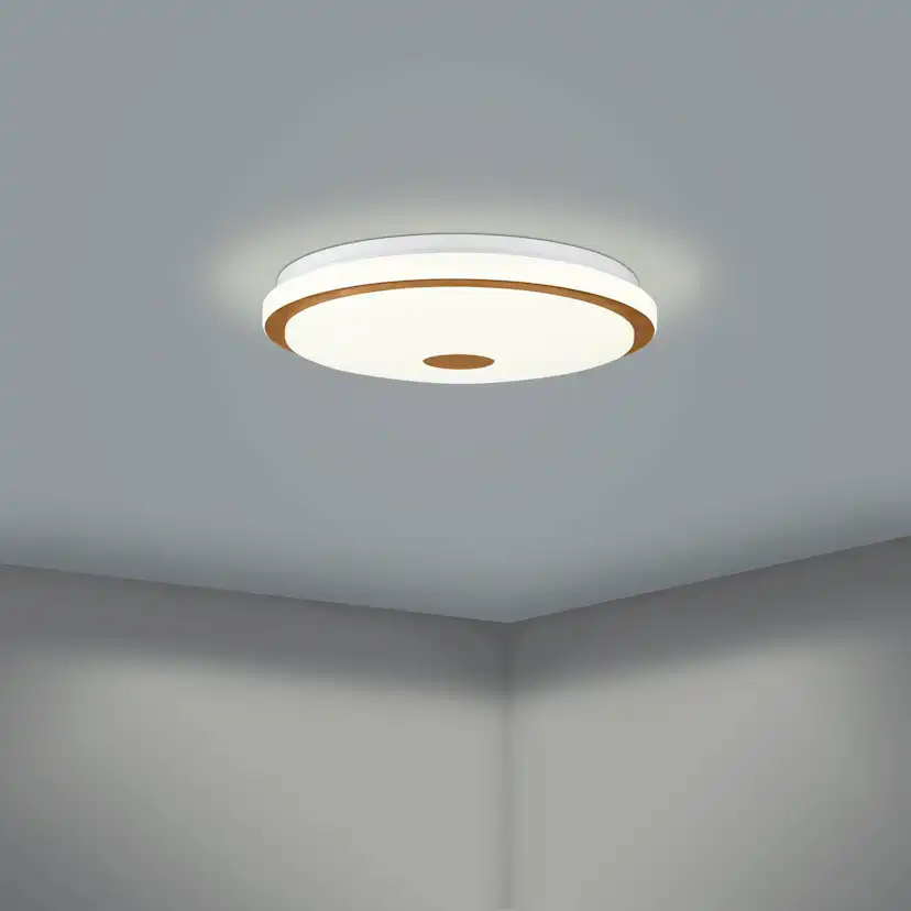 Taklampa Eglo Lanciano 1