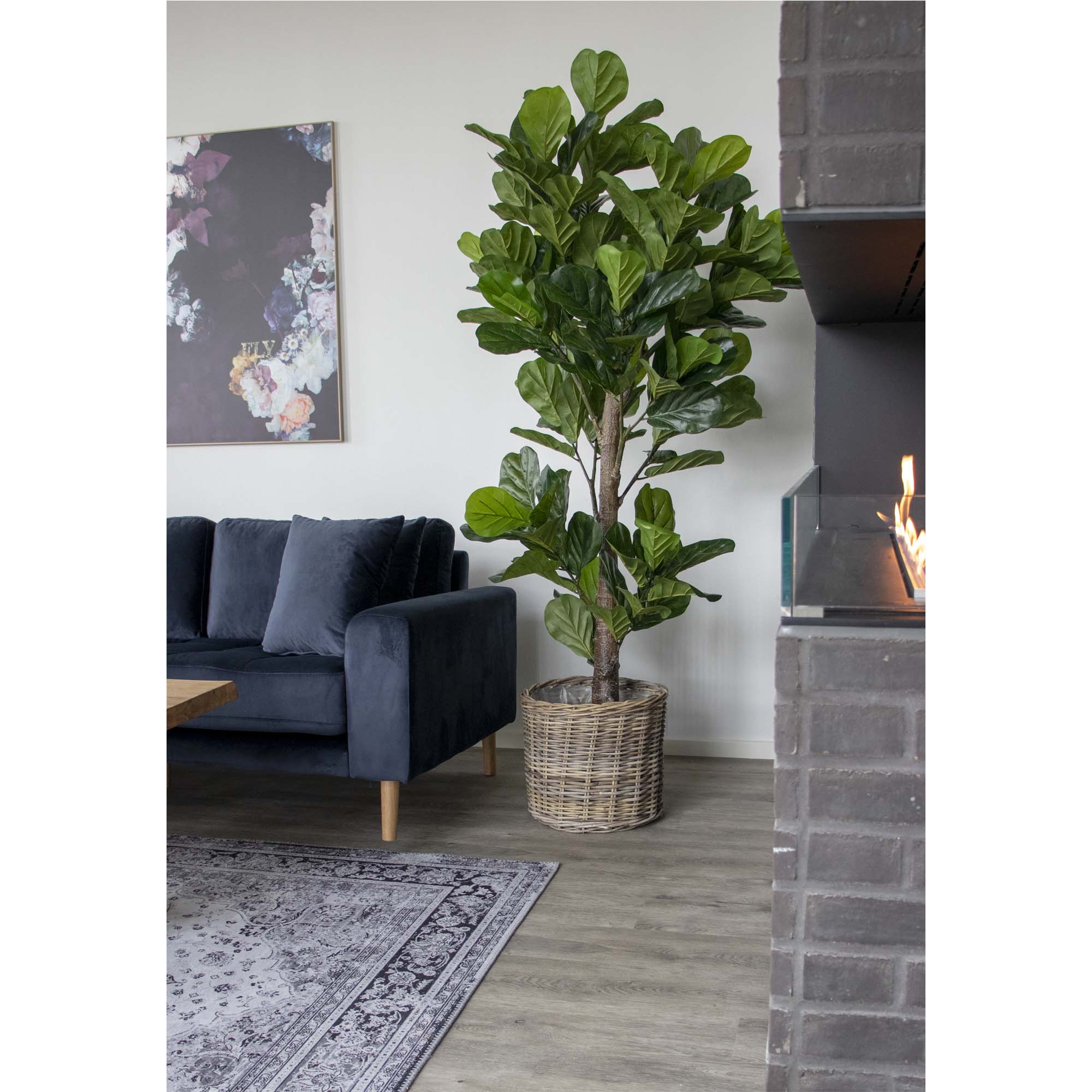 Konstväxt House Nordic Fiddle 190 cm
