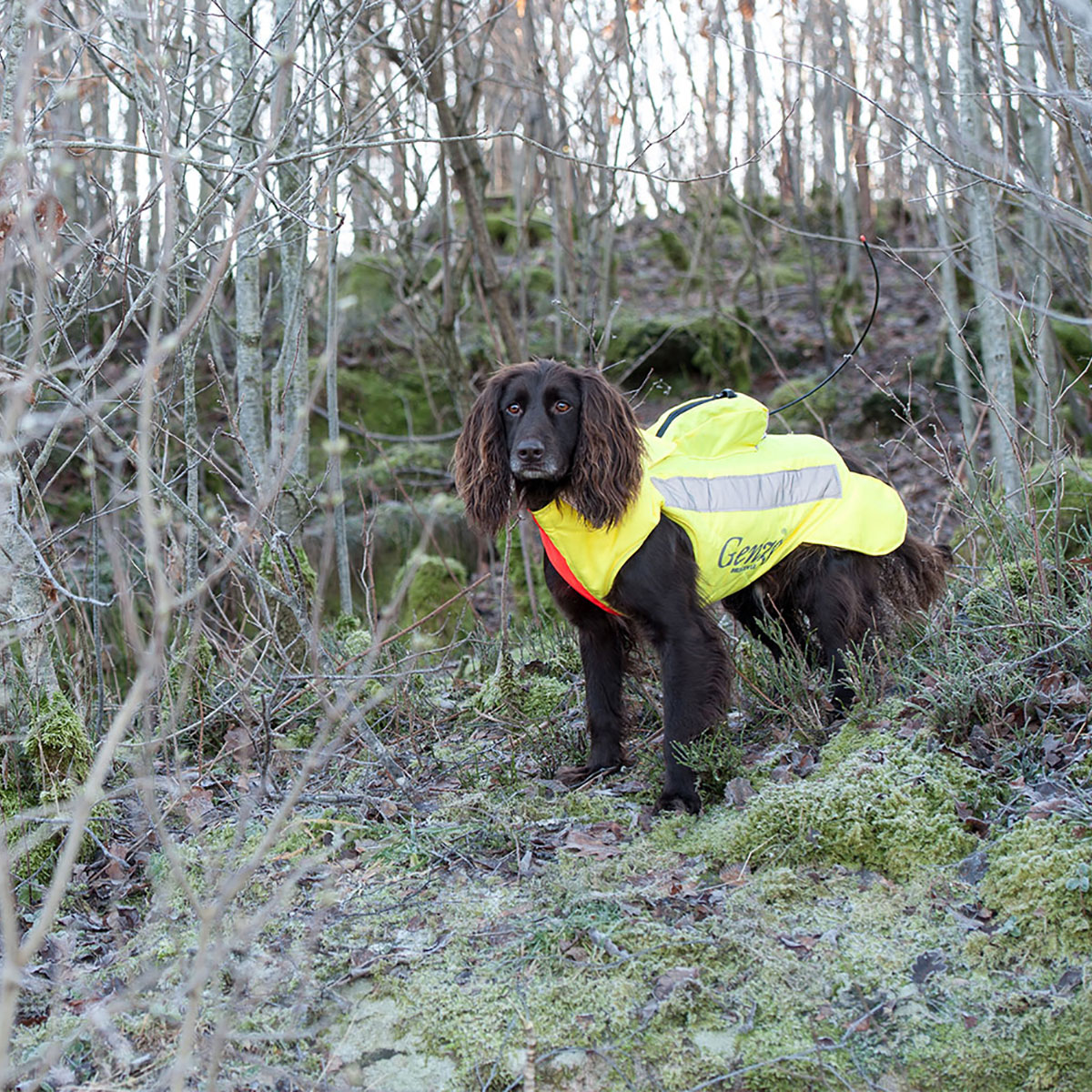 Skytteväst Genzo för Hund