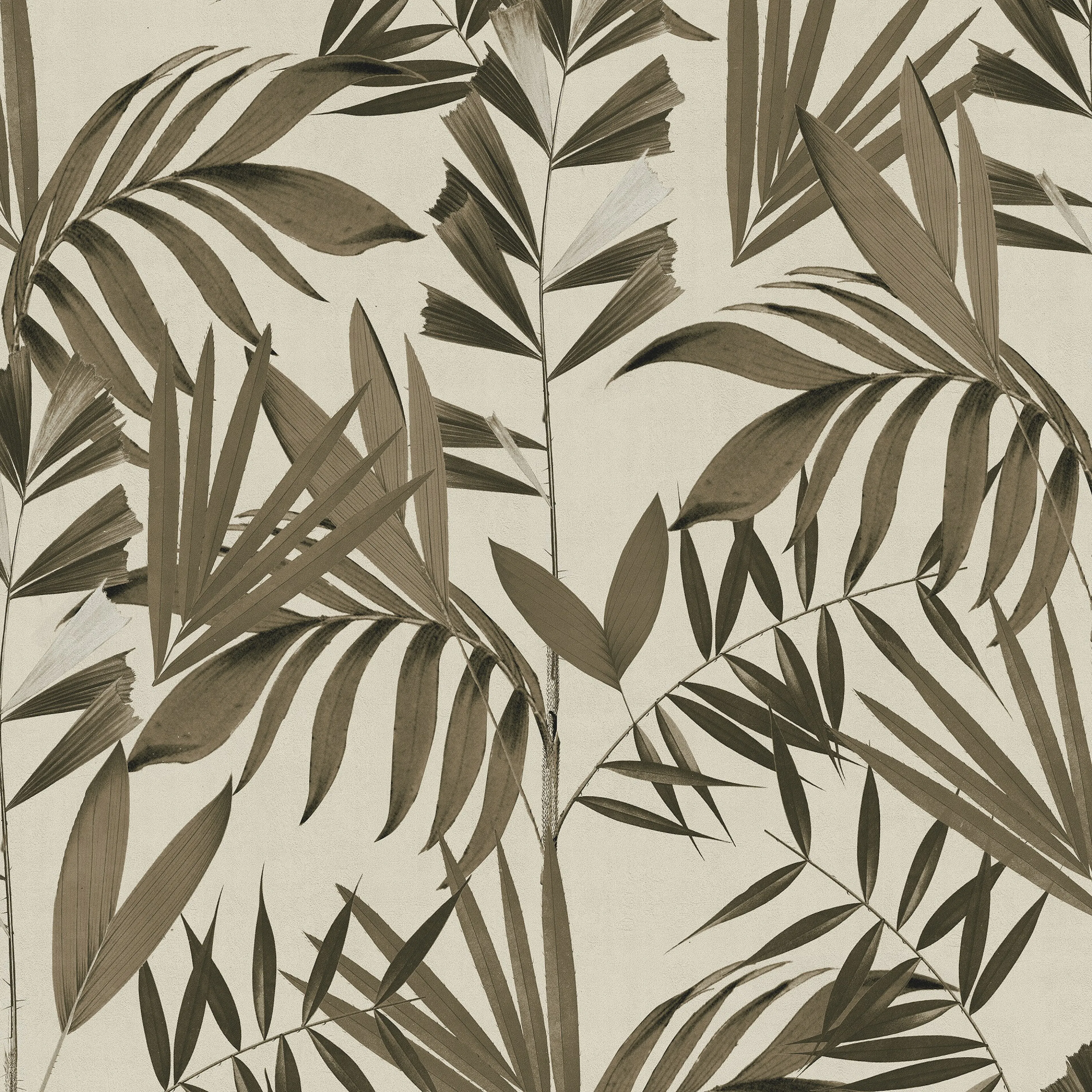 Tapet Superfresco Easy Japan Sepia