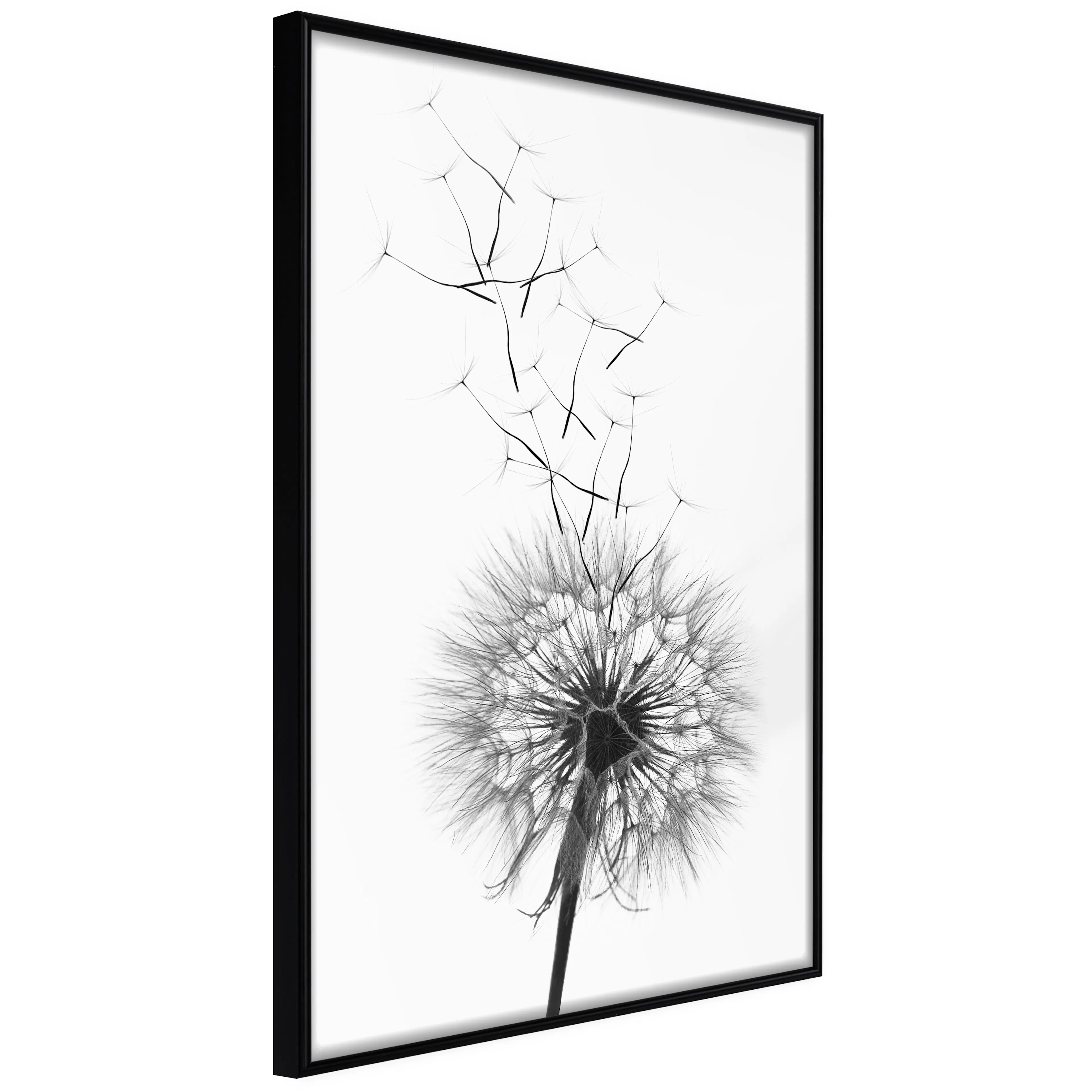 Affisch - Dandelion [Poster] 40x60 Svart ram, 40x60 cm