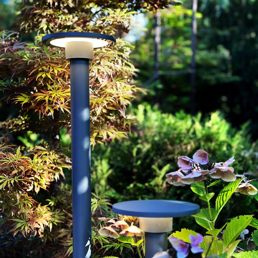 Pollare LightsOn Orbit 65