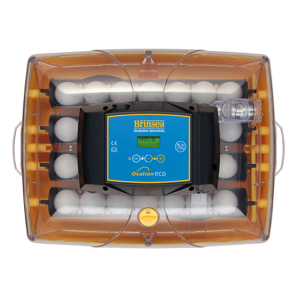 Äggkläckare Brinsea Ovation 28 Eco