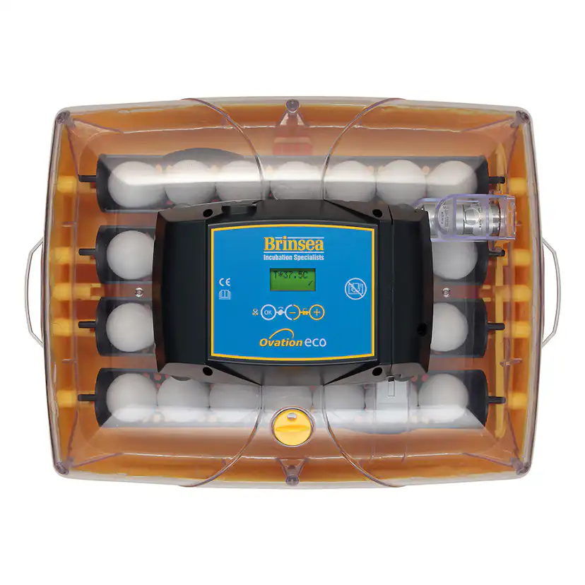 Äggkläckare Brinsea Ovation 28 Eco
