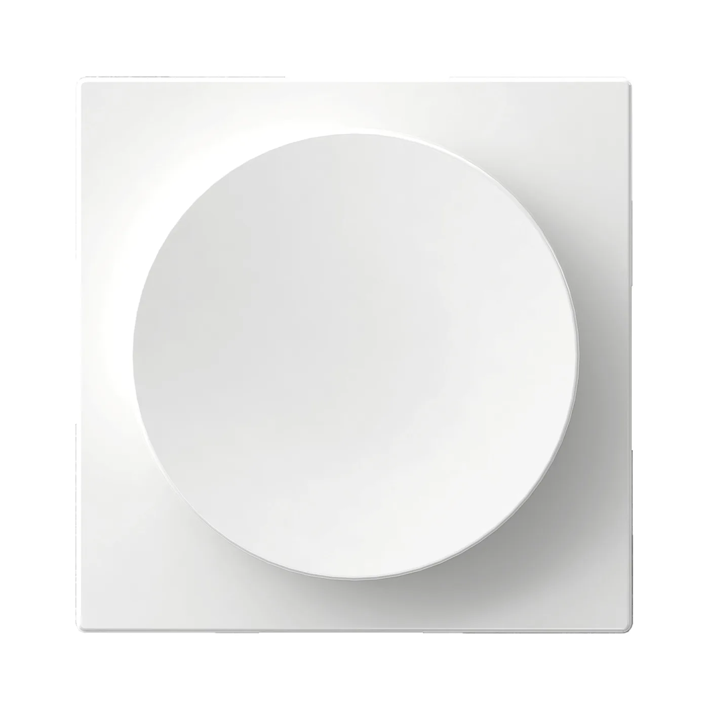 DIMMERRATT & C-PLATTA EXX VIT WDE004510 Vit
