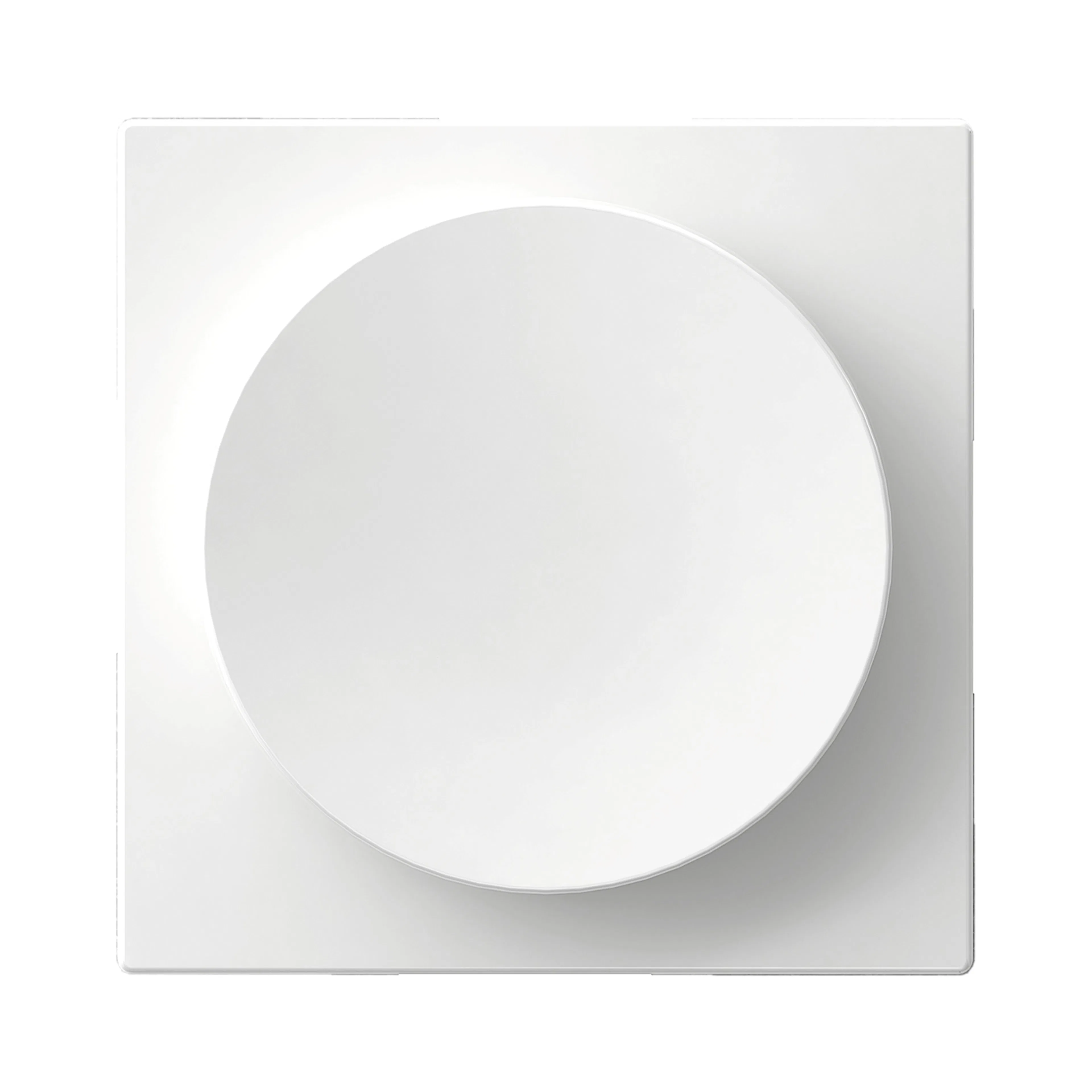 DIMMERRATT & C-PLATTA EXX VIT WDE004510 Vit