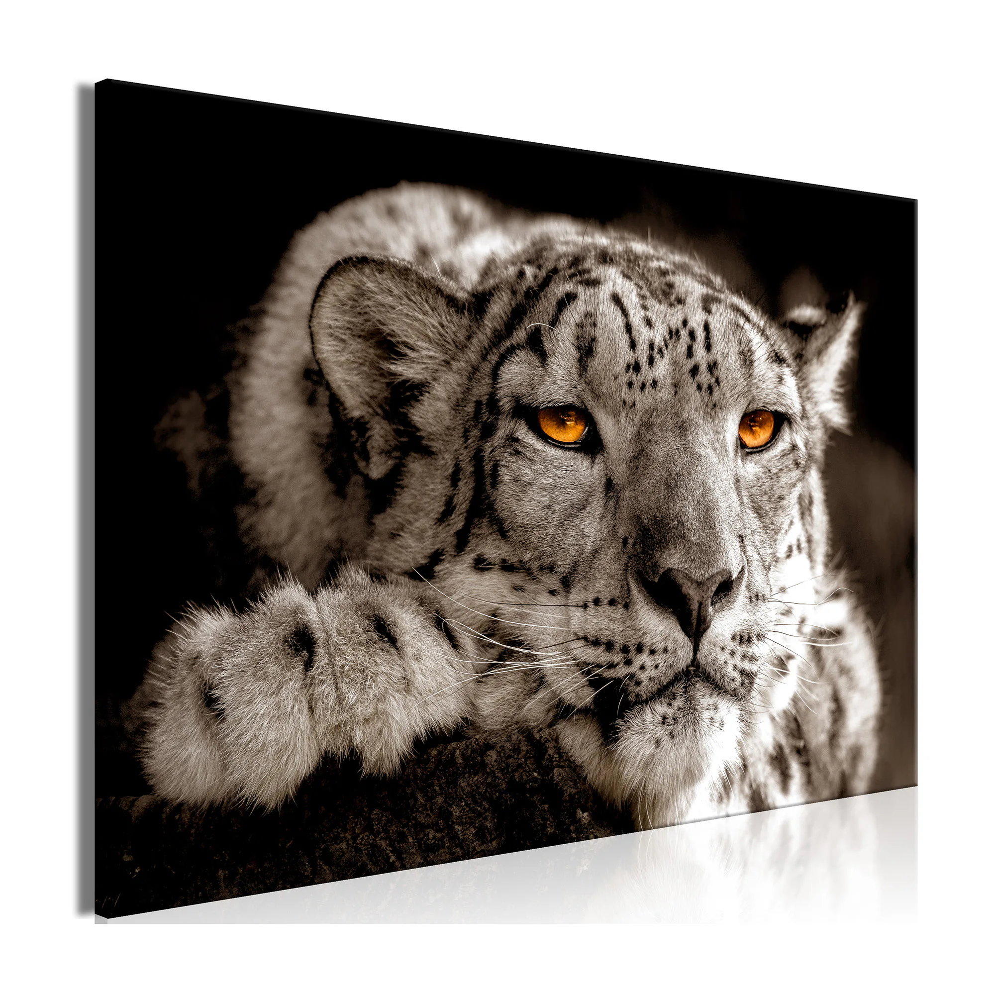 Tavla Arkiio Magic Eyes