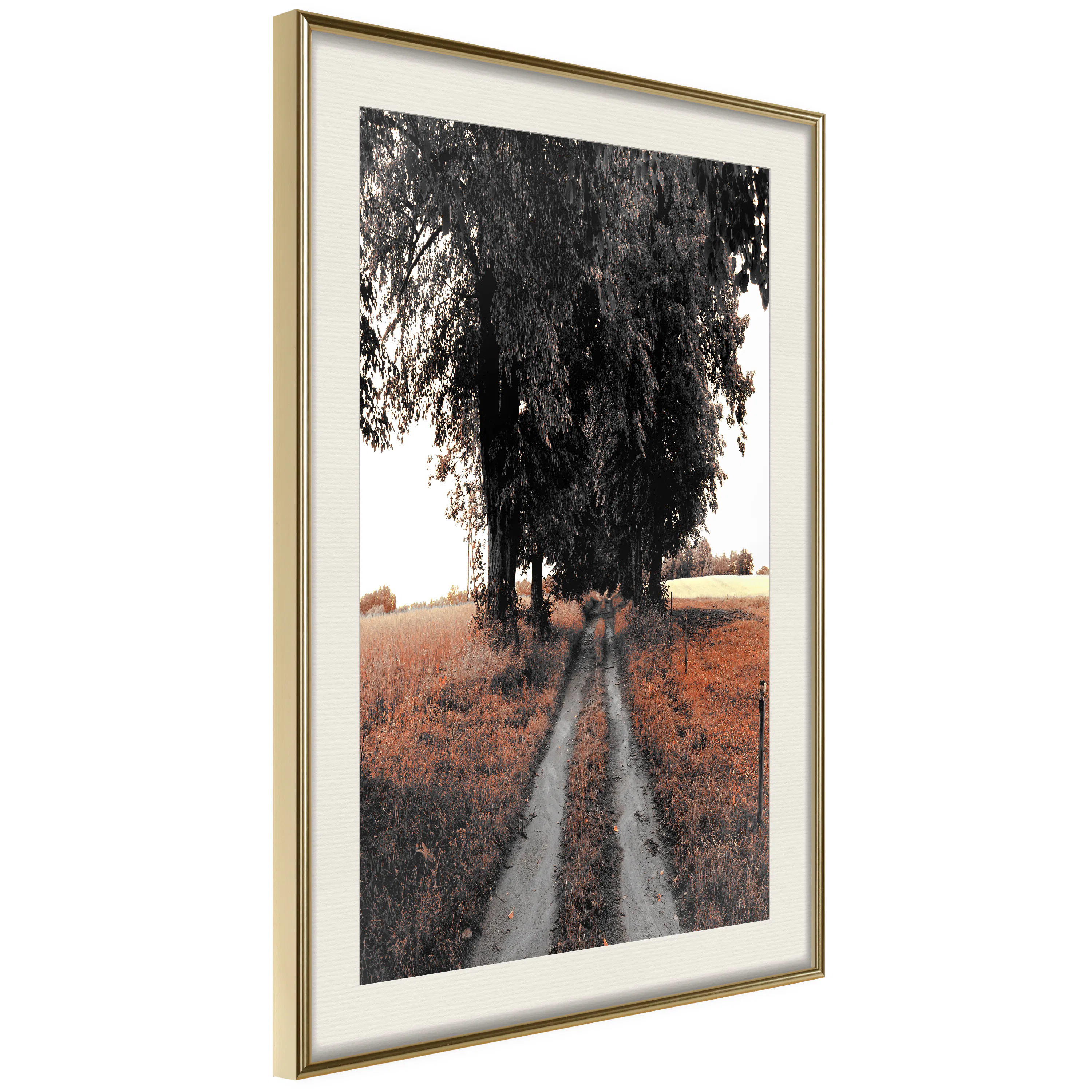 Poster Artgeist Affisch Road to the Forest