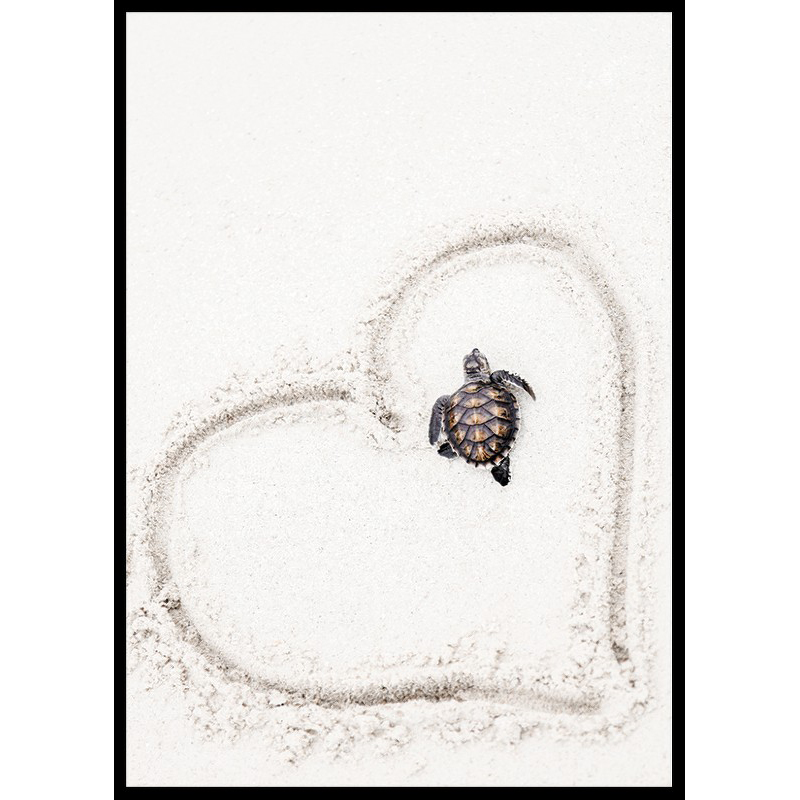 Poster Gallerix Baby Turtle On Beach