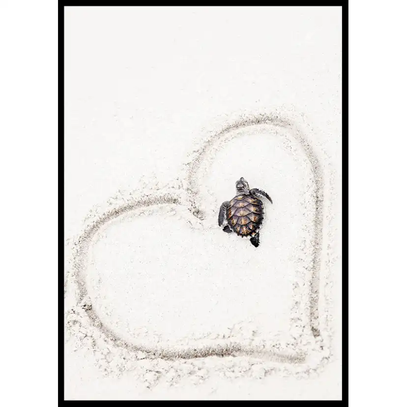 Poster Gallerix Baby Turtle On Beach