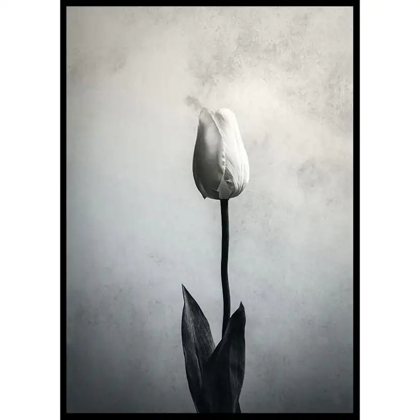 Poster Gallerix Serendipity