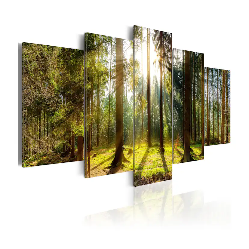 Tavla Arkiio Morning Awakening