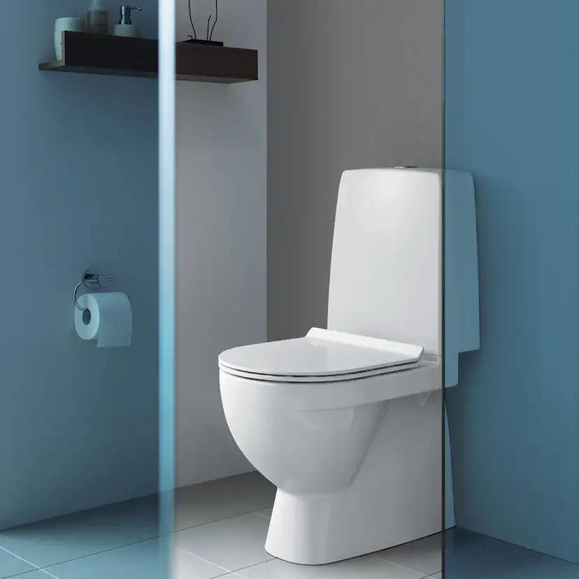 Toalettstol Duravit Durastyle Rimless 010701 med Mjukstängande Hårdsits