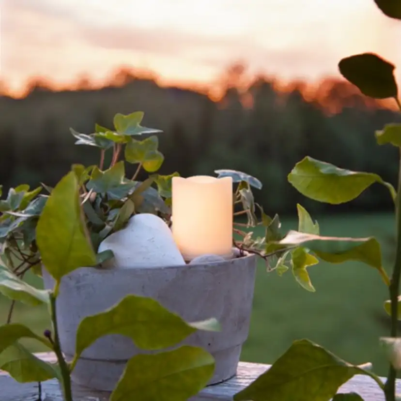 LED-Ljus Star Trading Flame