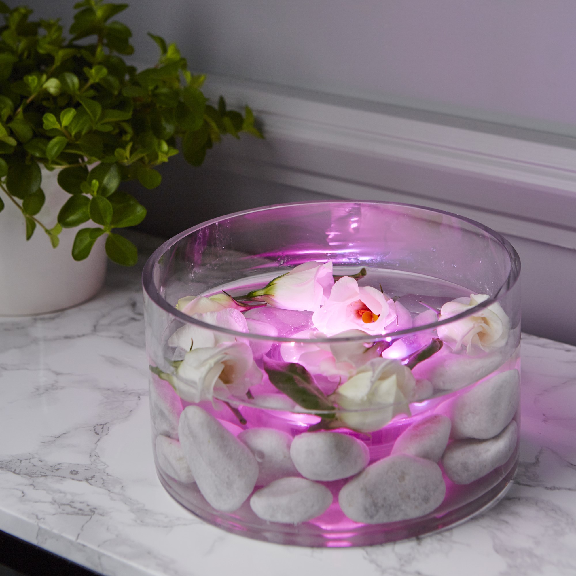 LED-Ljus Star Trading Water Candle