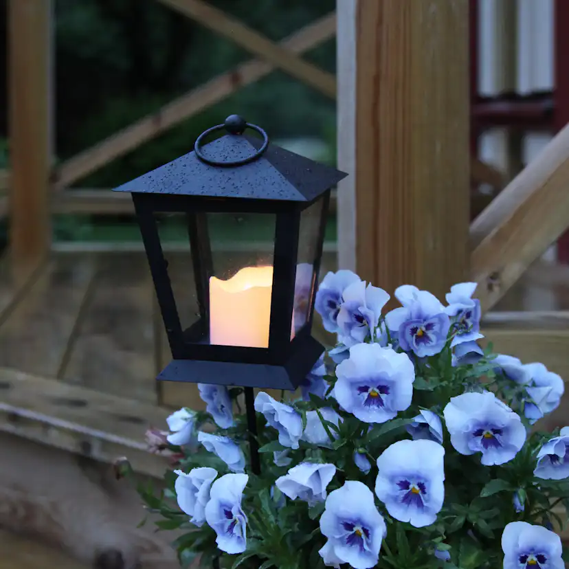 Gravljus Star Trading Serene LED 064-53