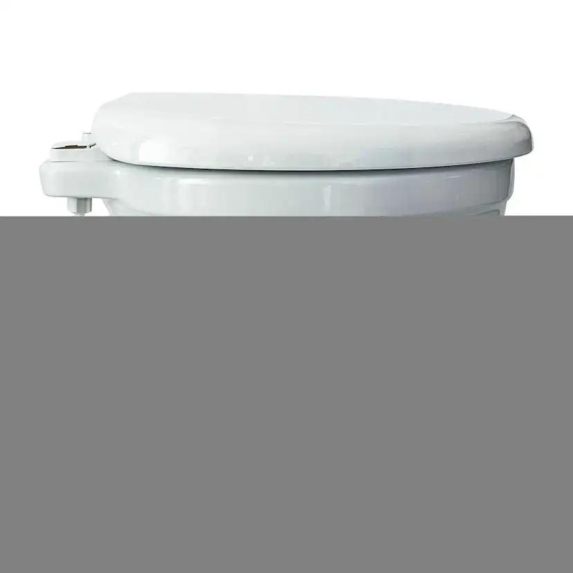 Marin Toalett Albin Group Marine Silent Comfort 12V