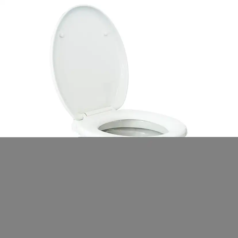 Marin Toalett Albin Group Marine Silent Comfort 12V