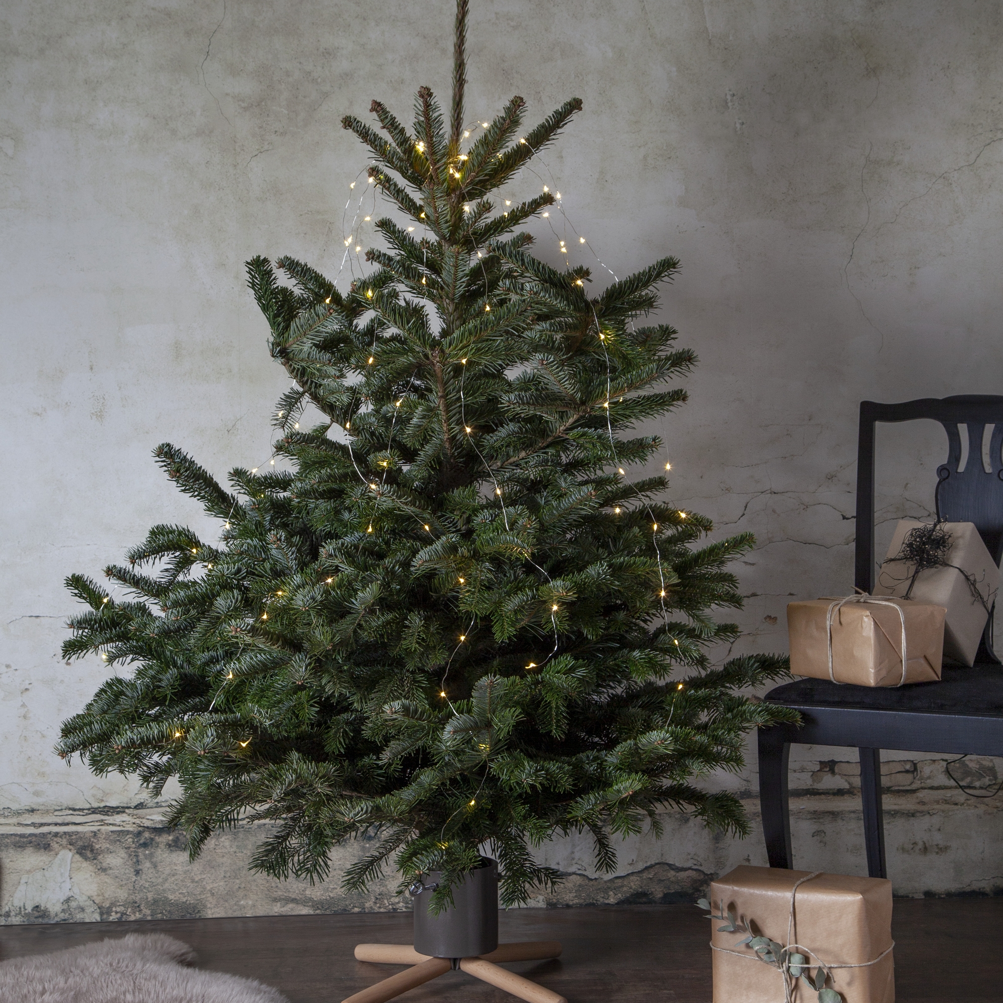 Julgransfot Star Trading Granig 080-72