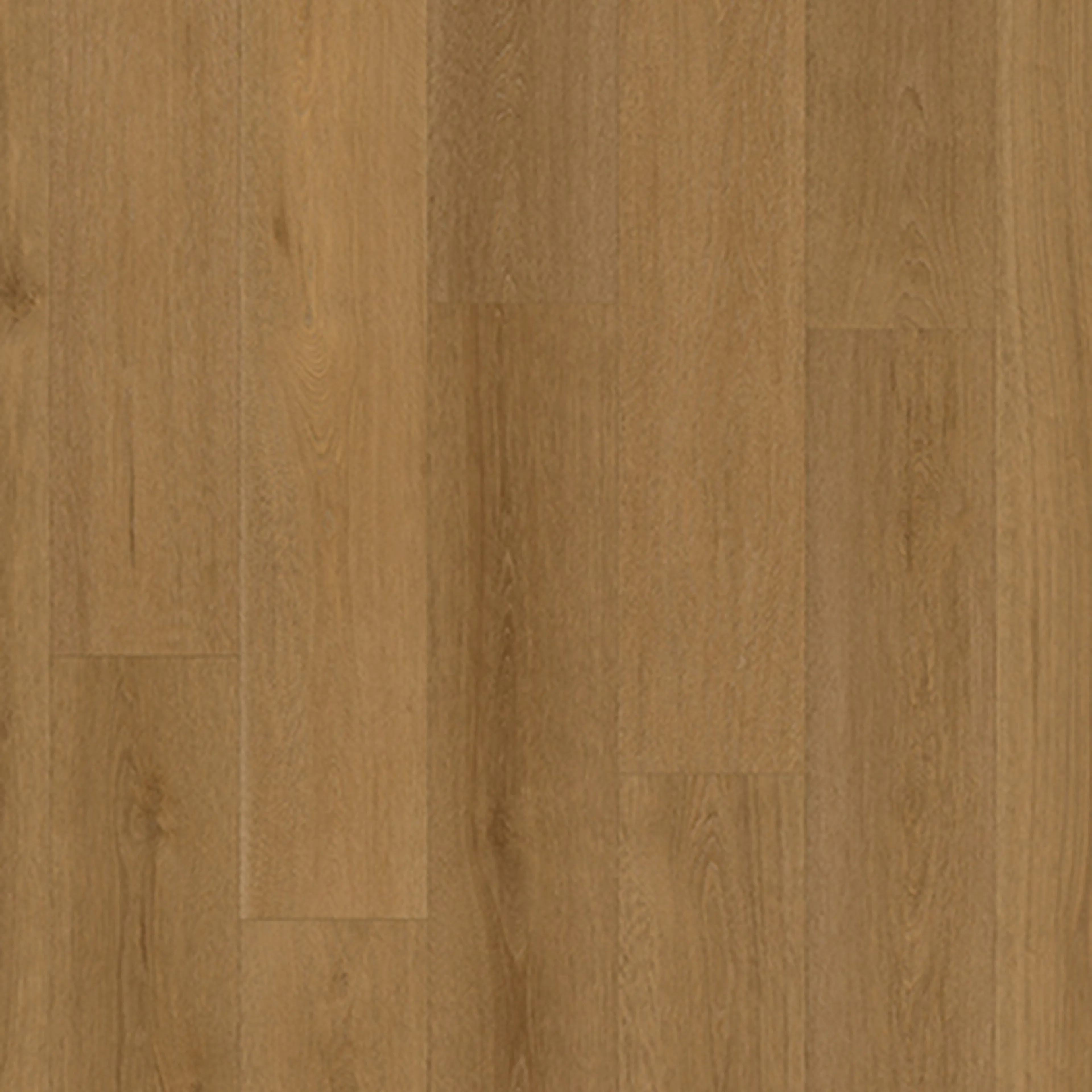 Laminatgolv Moland Allinge Ek Struktur