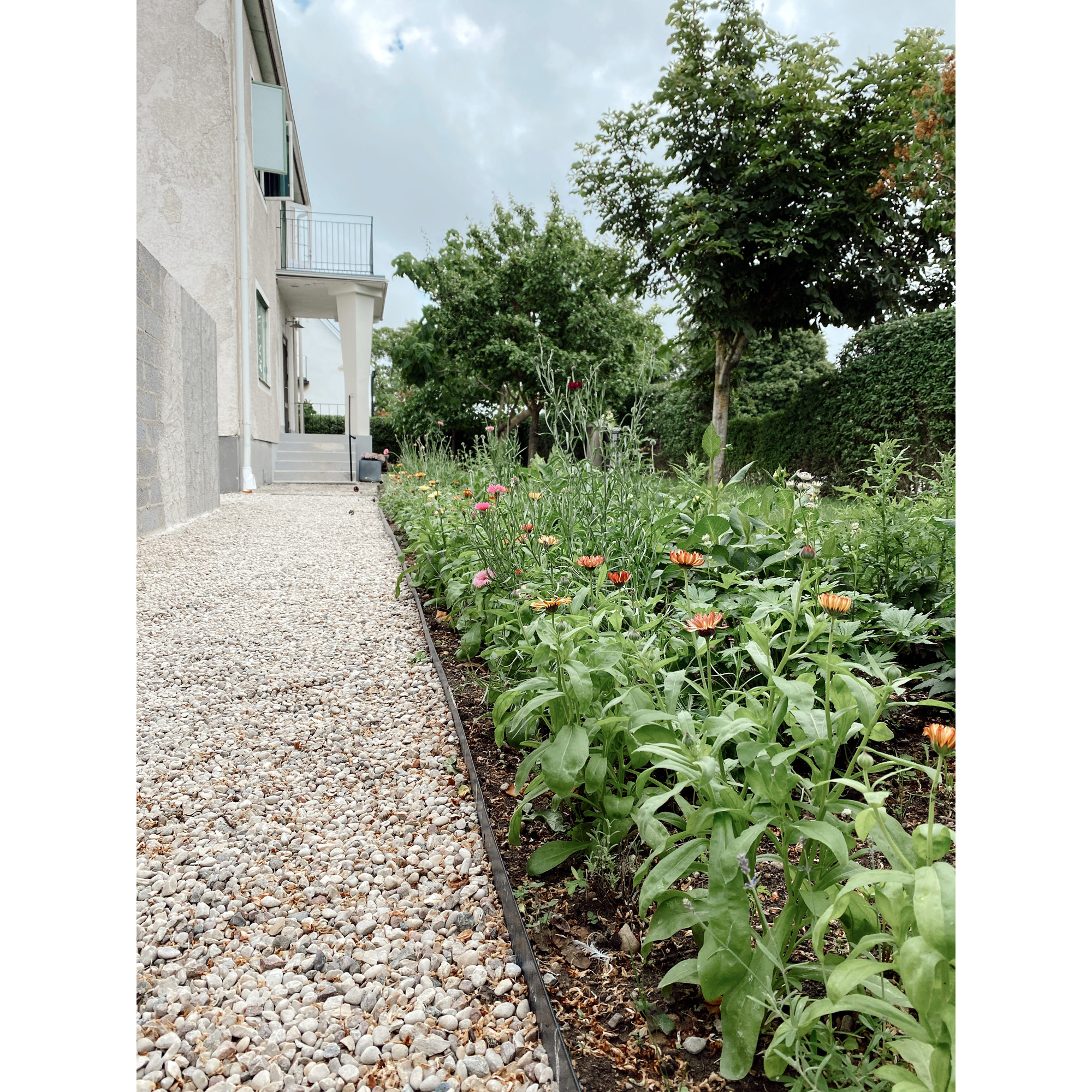 Rabattkant Jabo Rak 2000x290 mm