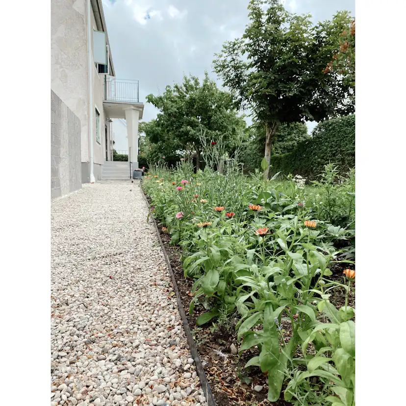 Rabattkant Jabo Rak 2000x290 mm