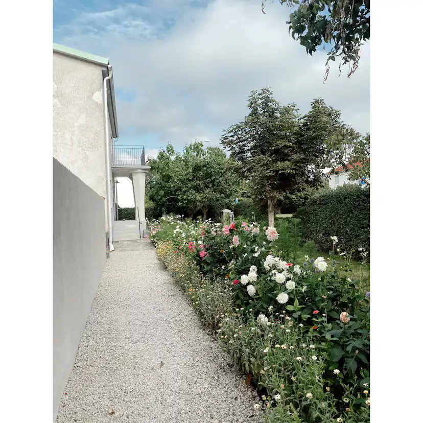 Rabattkant Jabo Rak 2000x290 mm