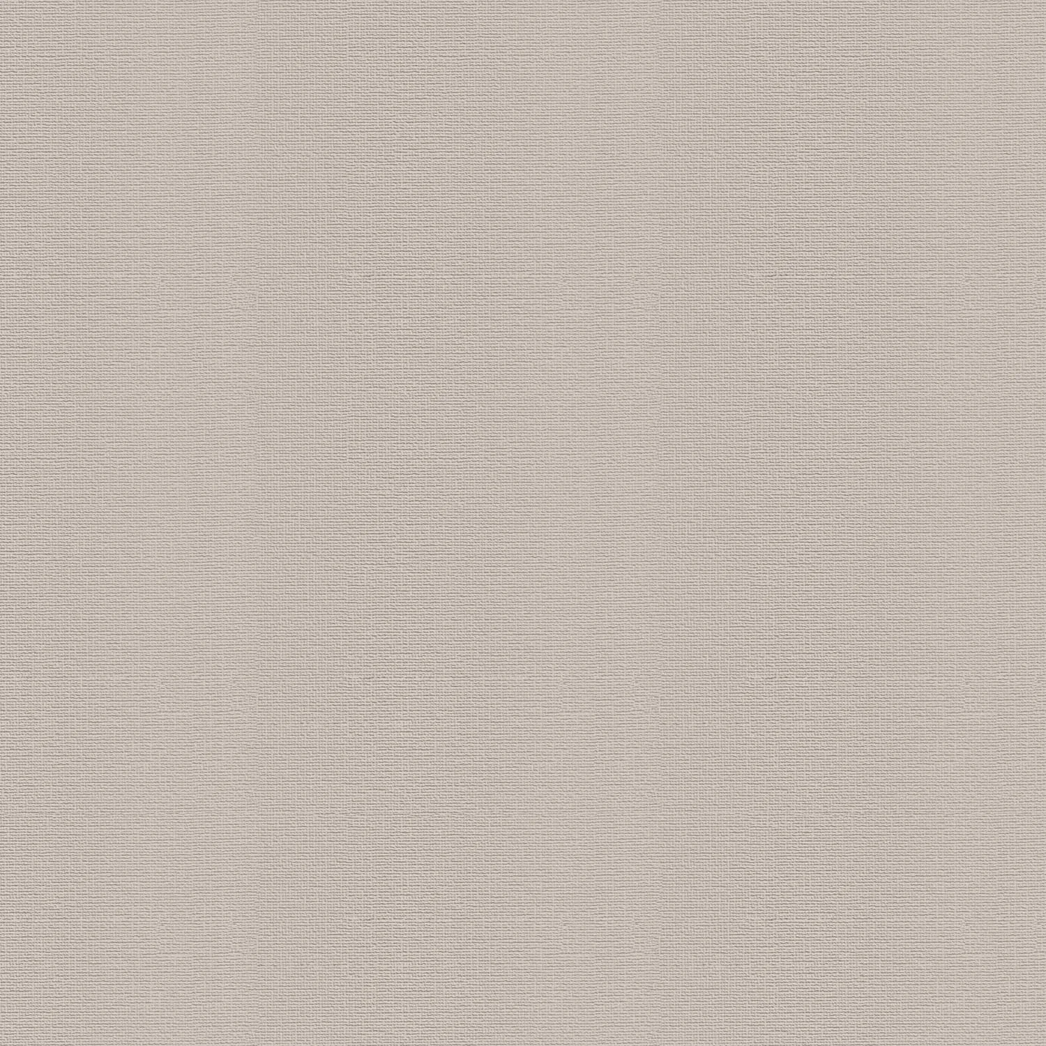 Tapet Superfresco Easy Tetil Taupe 103449