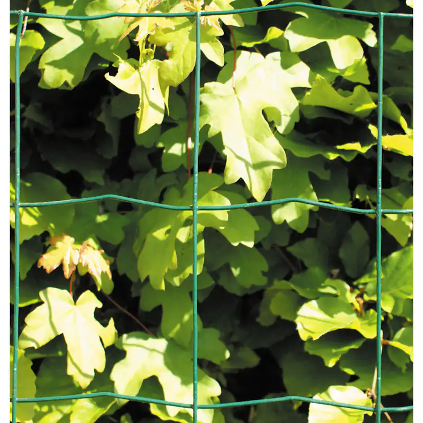 Stängsel Hortus Grönt 20x0,6 m Med Maskor 10x10 cm