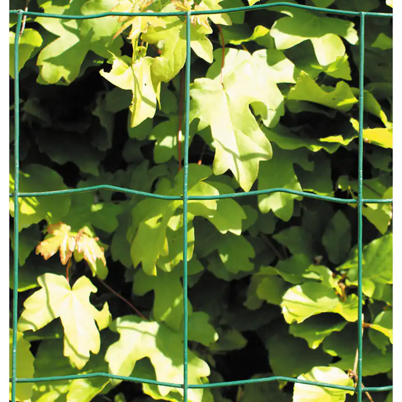 Stängsel Hortus Grönt 20x1 m Med Maskor 10x10 cm
