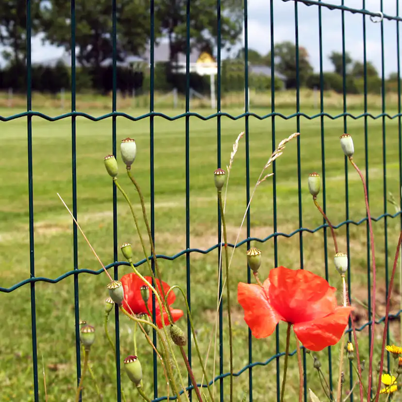 Stängsel Hortus Svart 20x0,9 m Med Maskor 10x10 cm