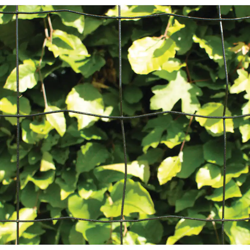 Stängsel Hortus Svart 20x0,6 m Med Maskor 10x10 cm