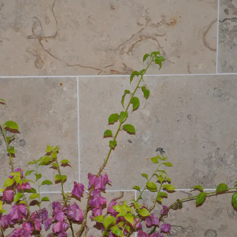 Kalksten Italian Marble Jura Grå Slipad 31x61 cm