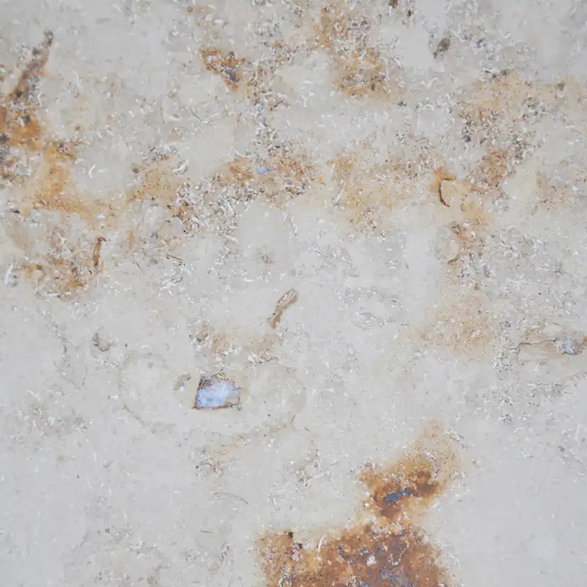 Kalksten Italian Marble Jura Beige Slipad 31x61 cm