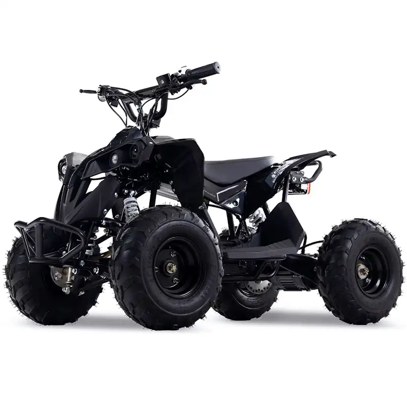 Fyrhjuling Lyfco Premium El-ATV För Barn 1200W
