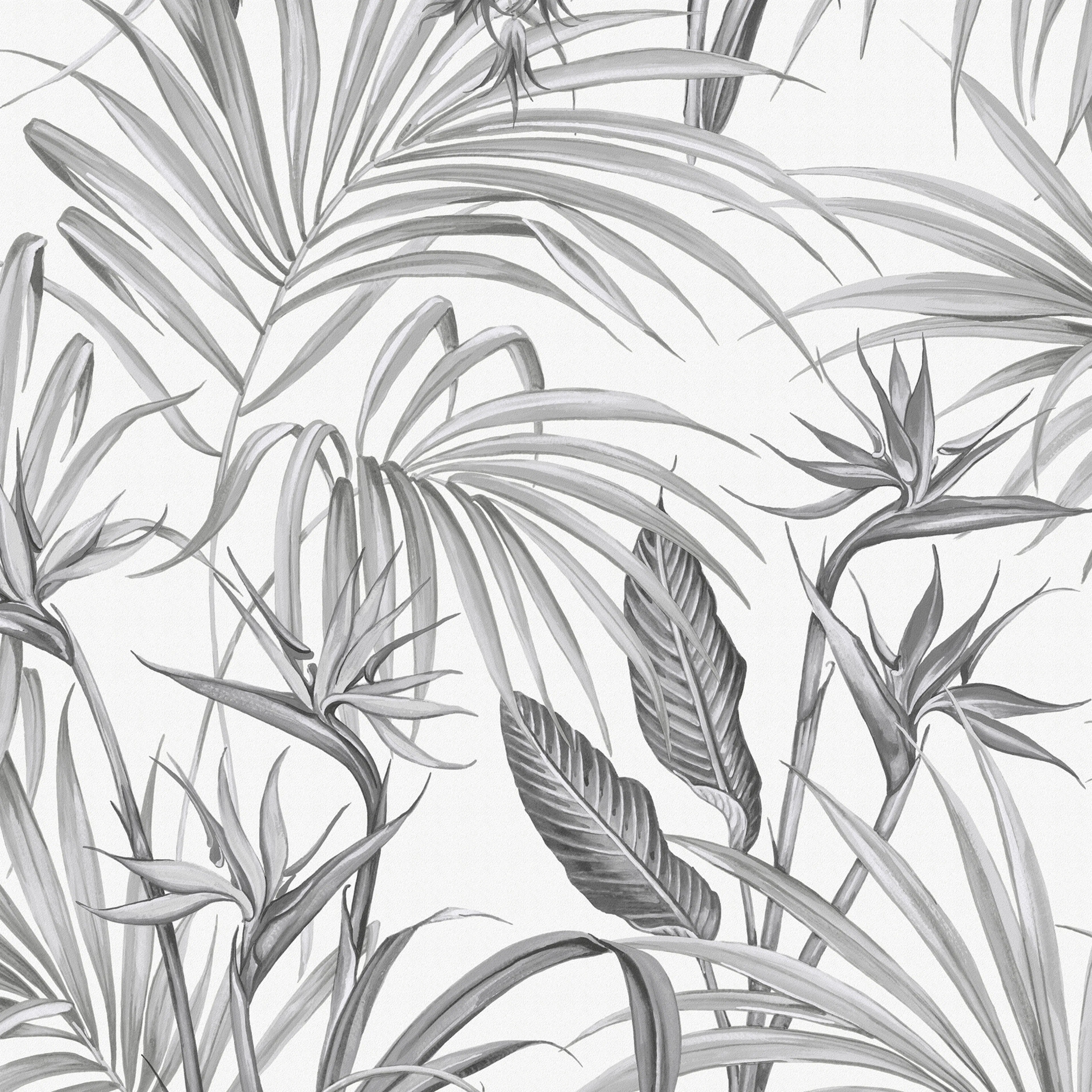 Tapet Superfresco Easy Strelitzia Leaves Grå
