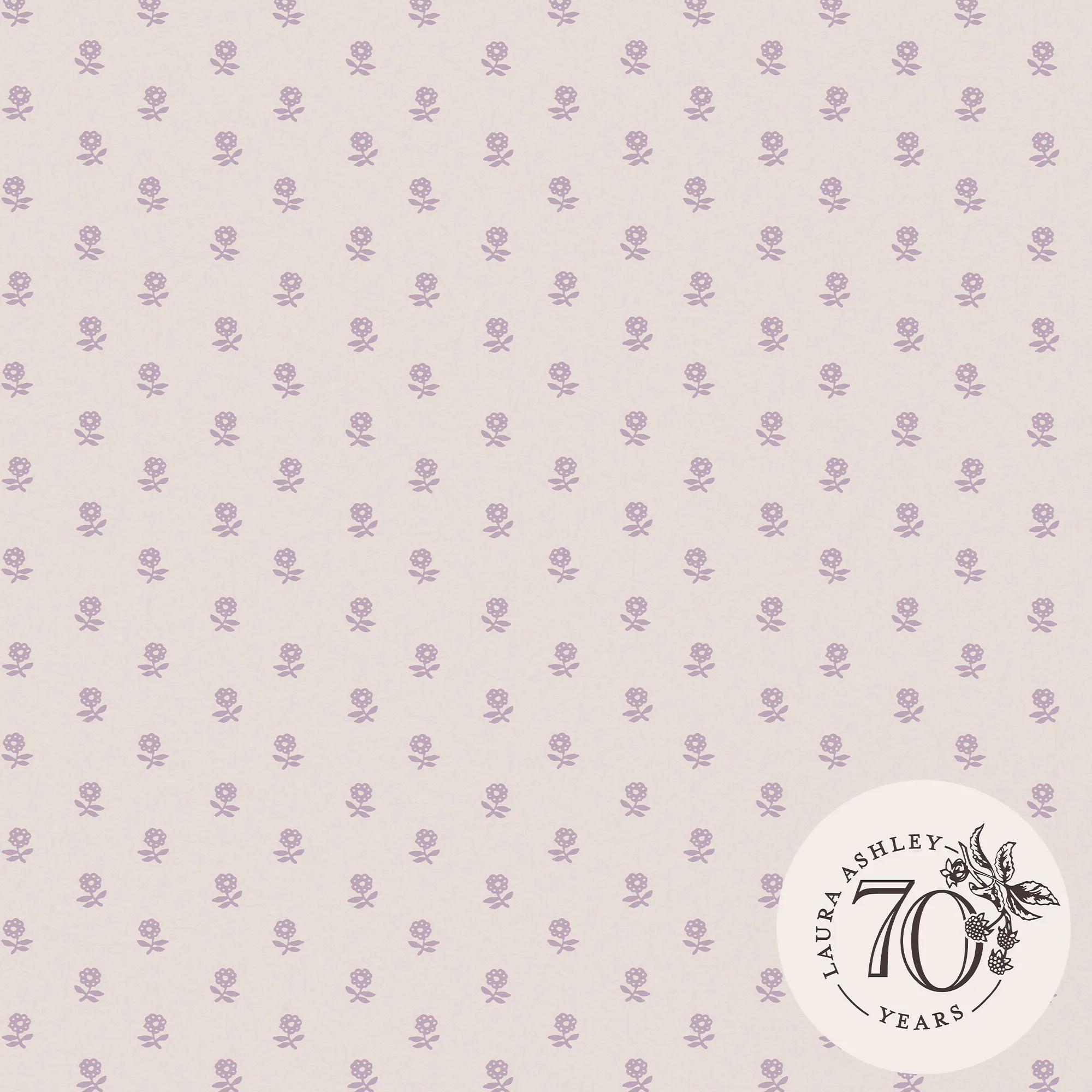 Tapet Laura Ashley Daisy Lavender Purple 119864
