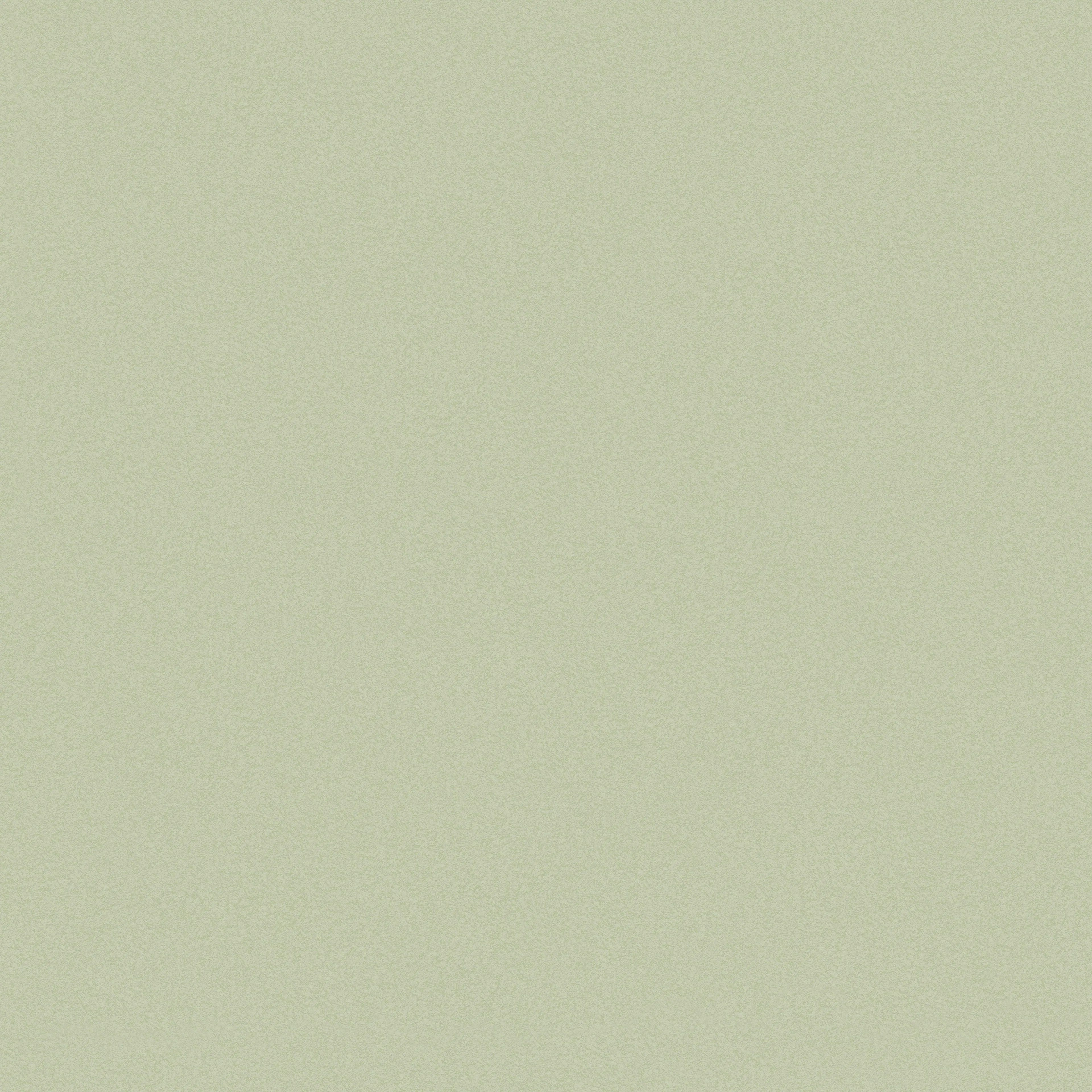 Tapet Joules Enfärgad 120885