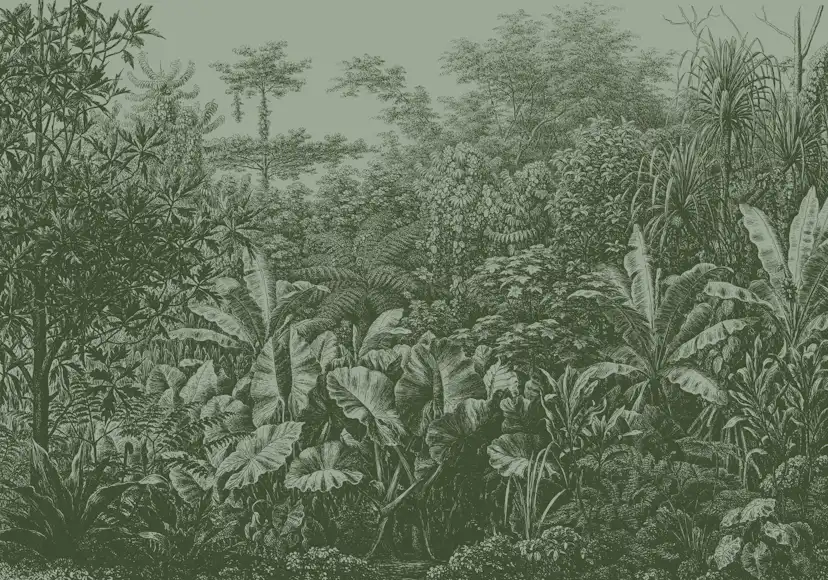 Fototapet LOOKS by Wolfgang Joop Looks Regnskog Grön 121029