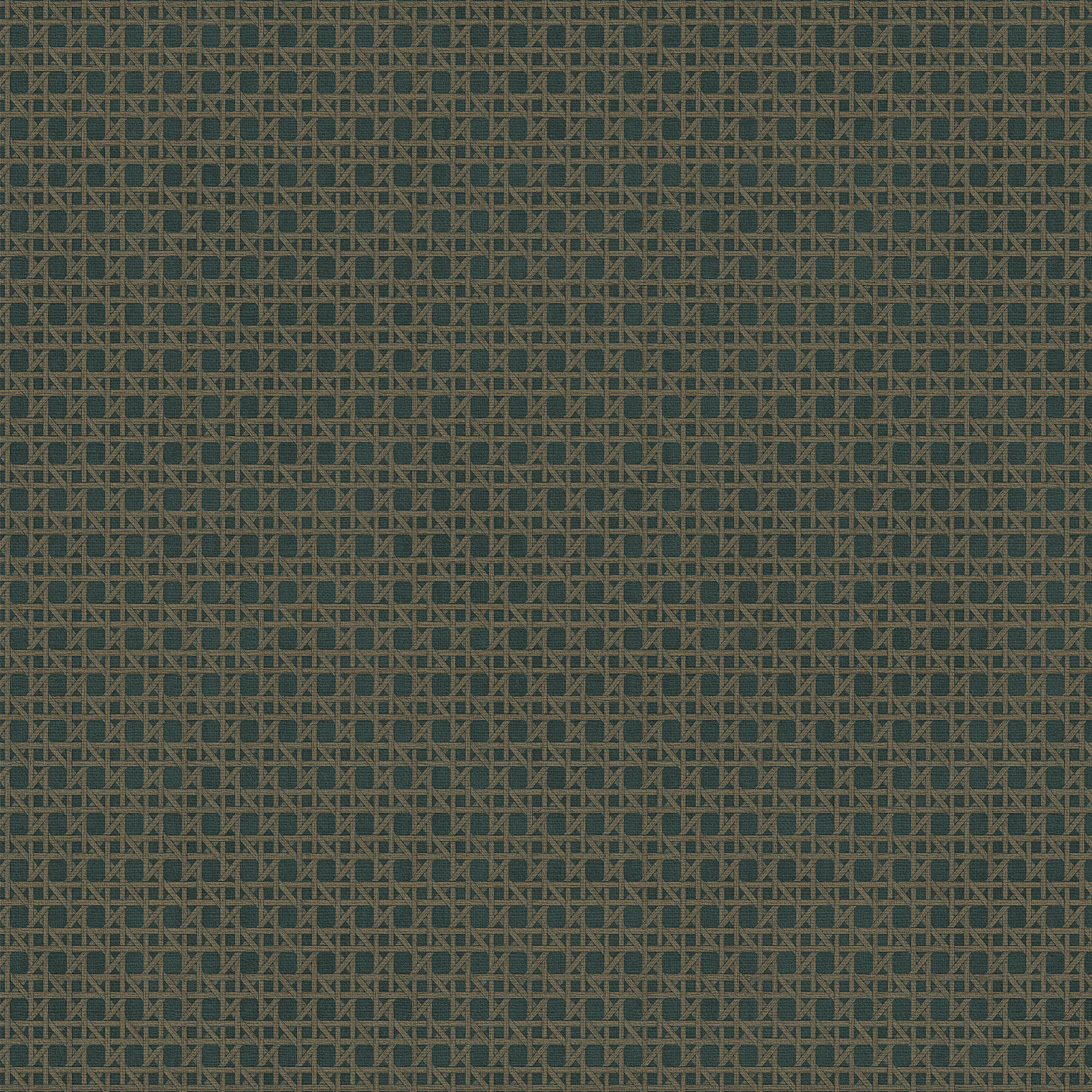 Tapet Sublime Rotan Blå Grön 121861